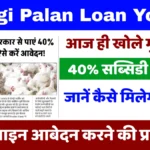 Murgi Palan Loan Yojana: सब्सिडी के साथ शुरू हुआ आवेदन, जानें कैसे मिलेगा फायदा