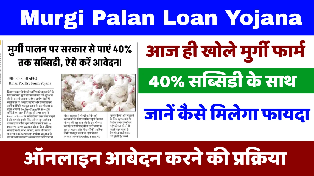 Murgi Palan Loan Yojana: सब्सिडी के साथ शुरू हुआ आवेदन, जानें कैसे मिलेगा फायदा
